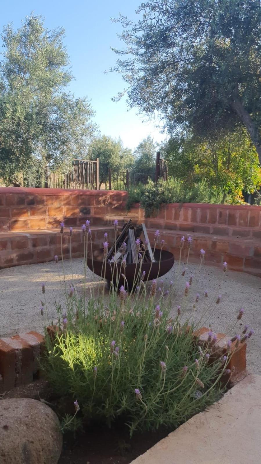 Estancia Los Amigos Valle De Guadalupe Ngoại thất bức ảnh